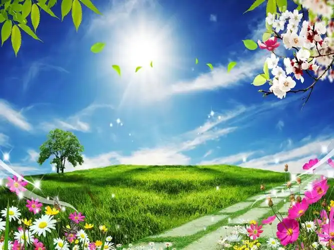 三百块的空气炸锅能用吗